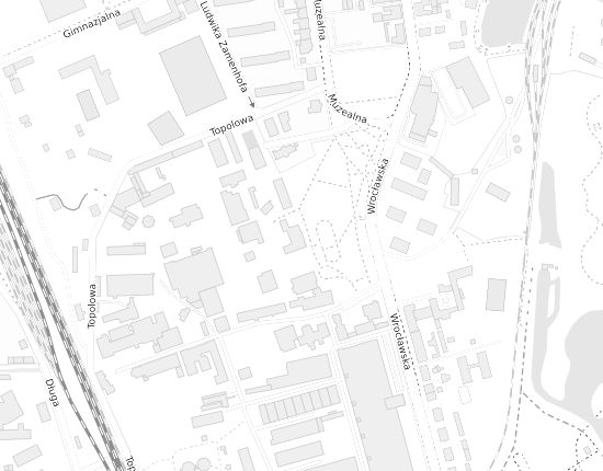 Mapa z adresem organizacji