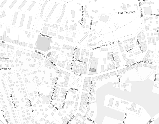 Mapa z adresem organizacji