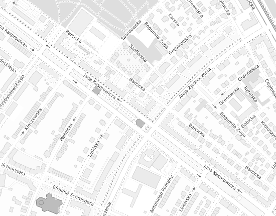 Mapa z adresem organizacji