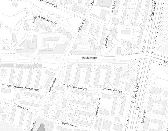 Mapa z adresem organizacji