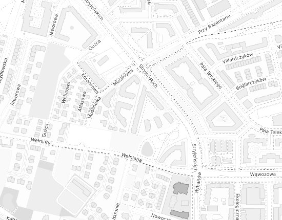 Mapa z adresem organizacji
