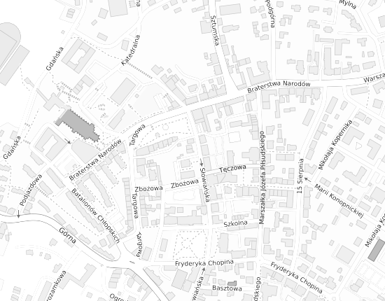 Mapa z adresem organizacji
