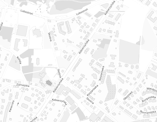 Mapa z adresem organizacji
