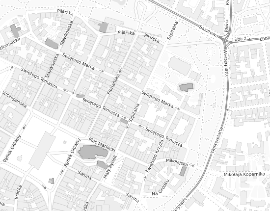 Mapa z adresem organizacji