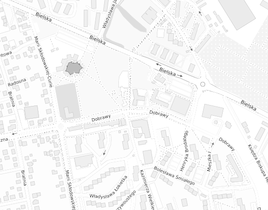 Mapa z adresem organizacji
