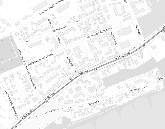 Mapa z adresem organizacji
