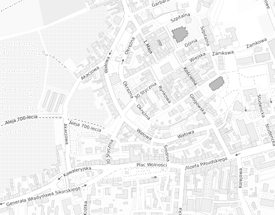 Mapa z adresem organizacji