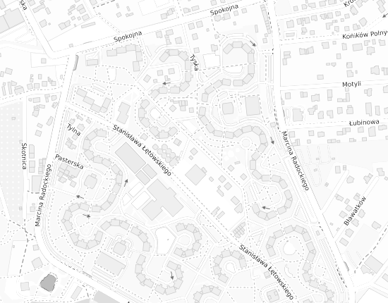 Mapa z adresem organizacji