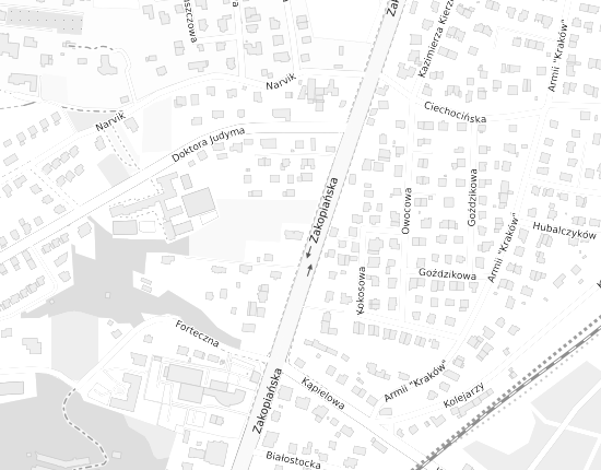 Mapa z adresem organizacji