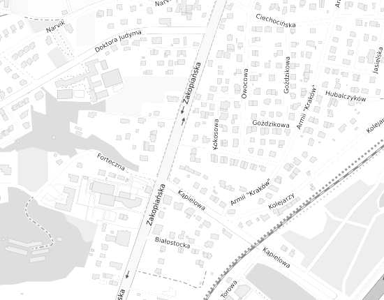 Mapa z adresem organizacji