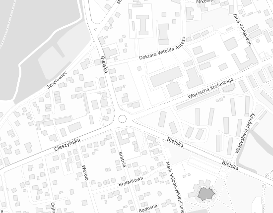 Mapa z adresem organizacji