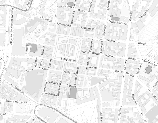 Mapa z adresem organizacji