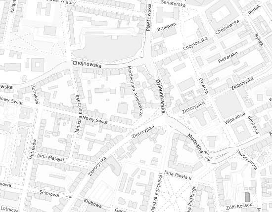 Mapa z adresem organizacji