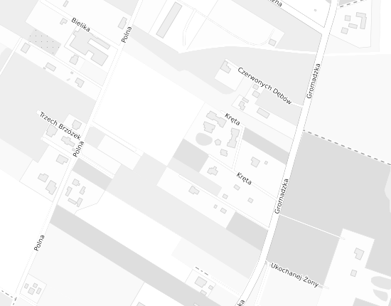 Mapa z adresem organizacji