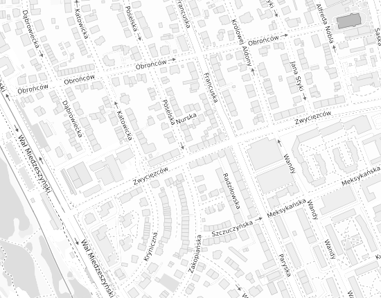 Mapa z adresem organizacji