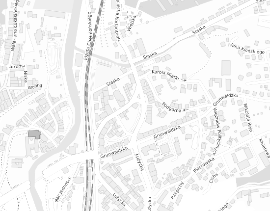Mapa z adresem organizacji