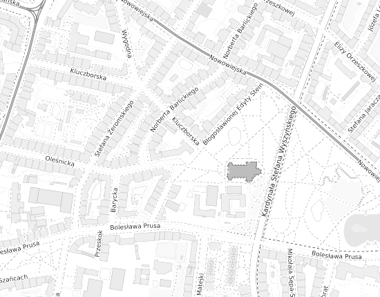Mapa z adresem organizacji