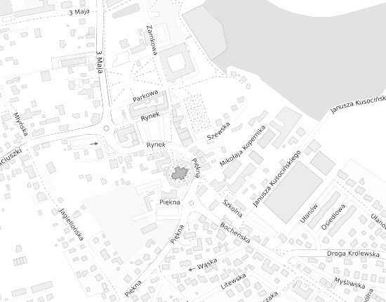 Mapa z adresem organizacji