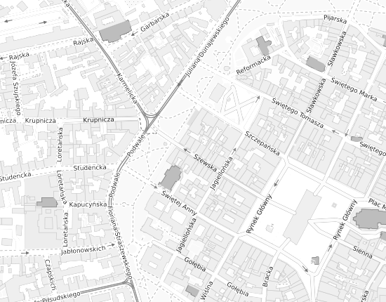 Mapa z adresem organizacji
