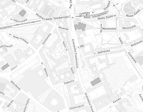 Mapa z adresem organizacji