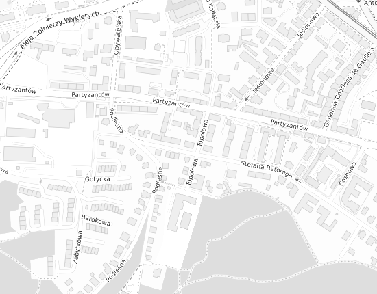 Mapa z adresem organizacji