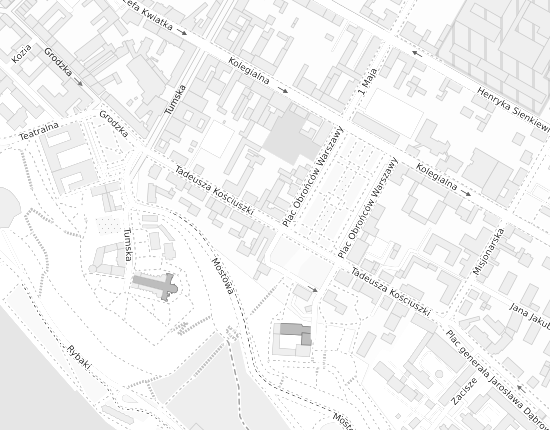 Mapa z adresem organizacji