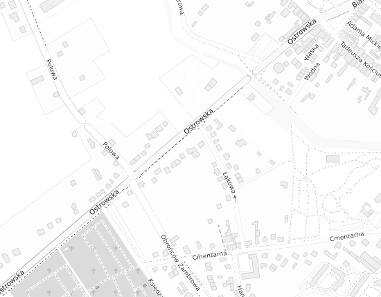 Mapa z adresem organizacji
