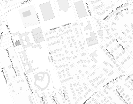 Mapa z adresem organizacji