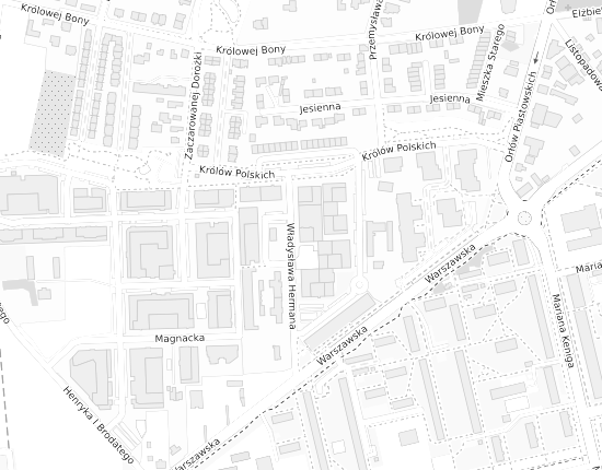 Mapa z adresem organizacji