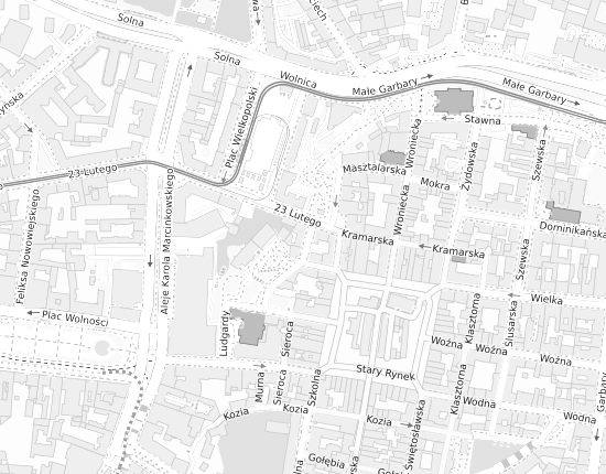 Mapa z adresem organizacji