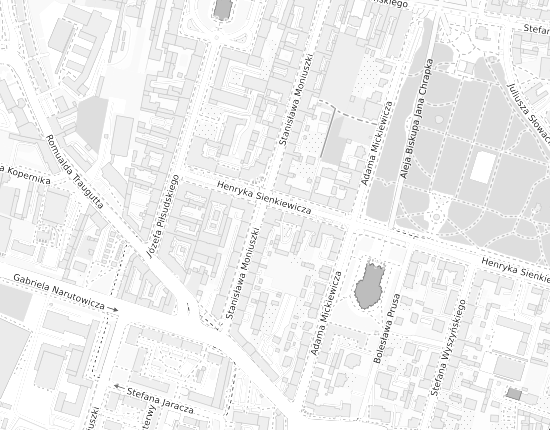 Mapa z adresem organizacji