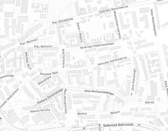 Mapa z adresem organizacji