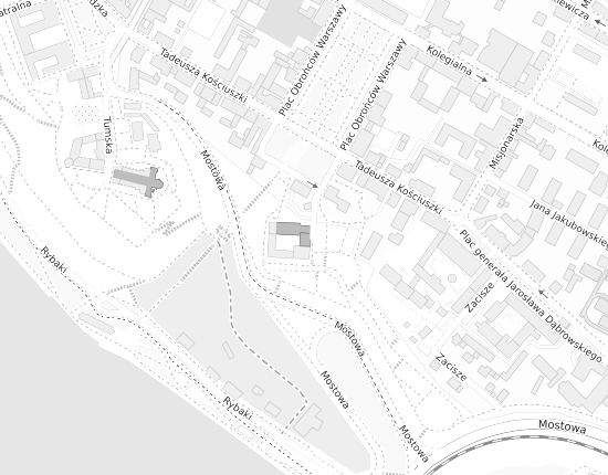 Mapa z adresem organizacji