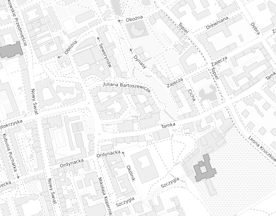 Mapa z adresem organizacji