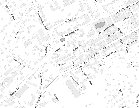 Mapa z adresem organizacji