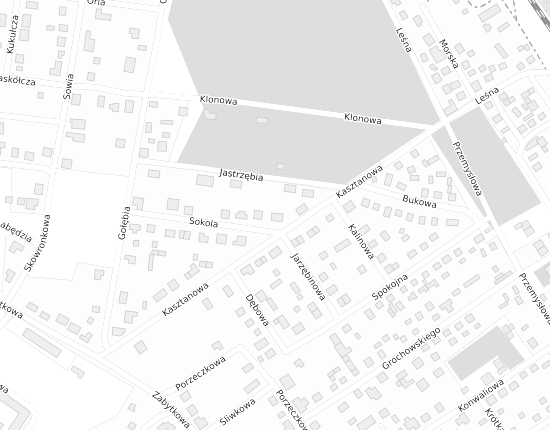 Mapa z adresem organizacji