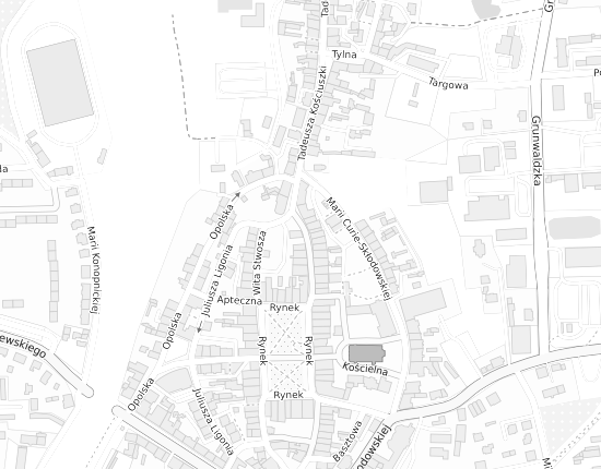 Mapa z adresem organizacji