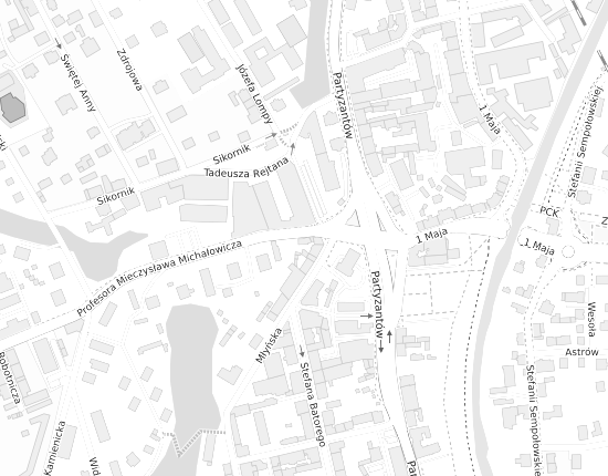Mapa z adresem organizacji