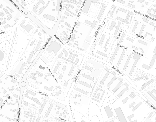 Mapa z adresem organizacji