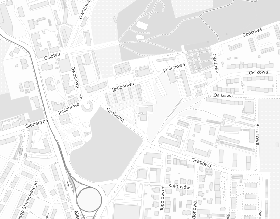 Mapa z adresem organizacji