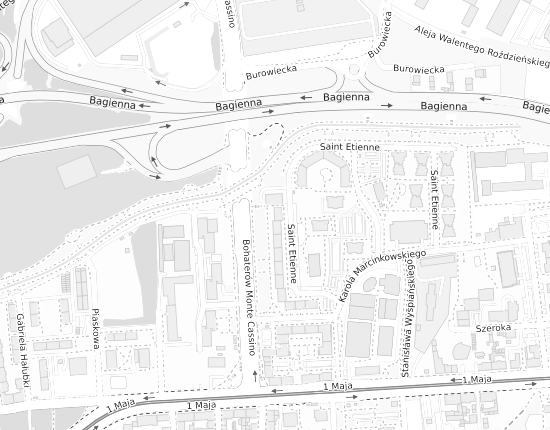 Mapa z adresem organizacji