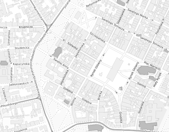 Mapa z adresem organizacji