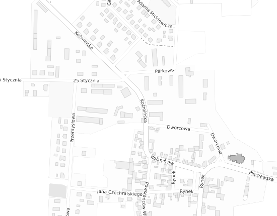 Mapa z adresem organizacji