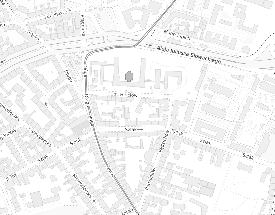Mapa z adresem organizacji