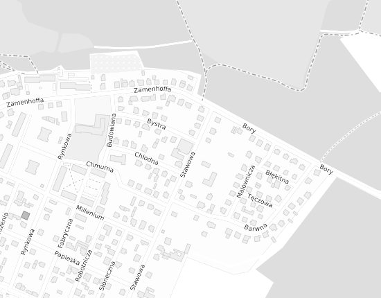 Mapa z adresem organizacji