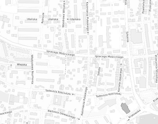 Mapa z adresem organizacji