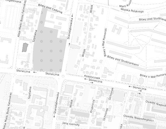 Mapa z adresem organizacji