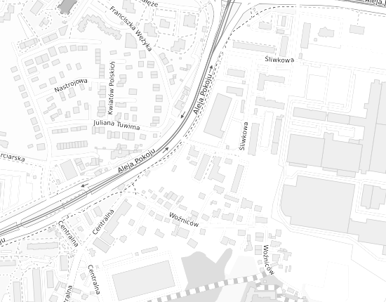 Mapa z adresem organizacji