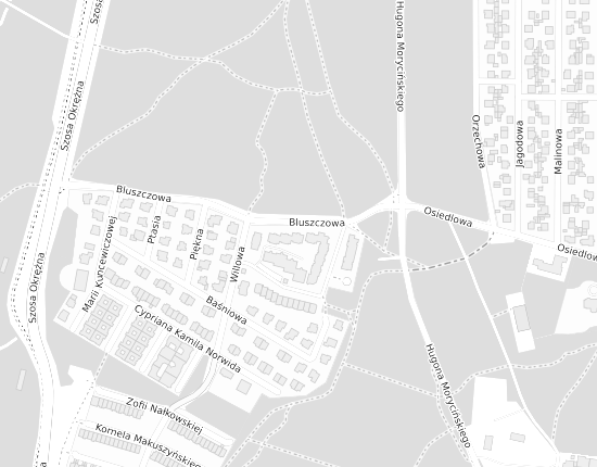 Mapa z adresem organizacji