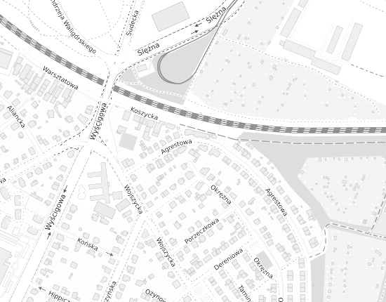 Mapa z adresem organizacji